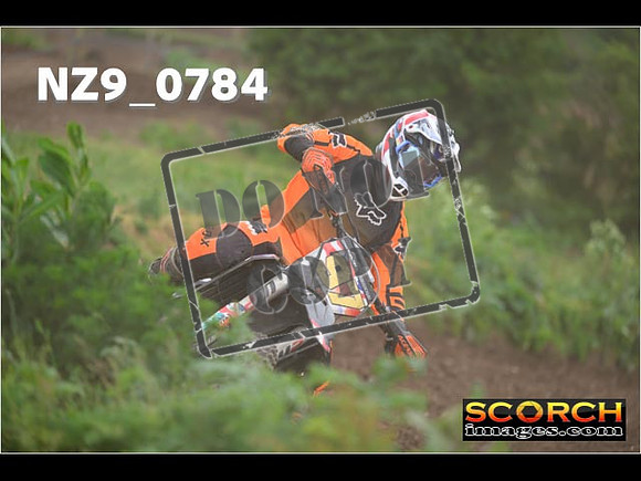 Experts-308