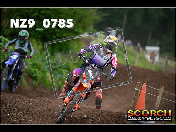 Experts-309