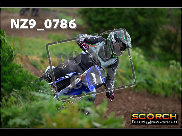 Experts-310