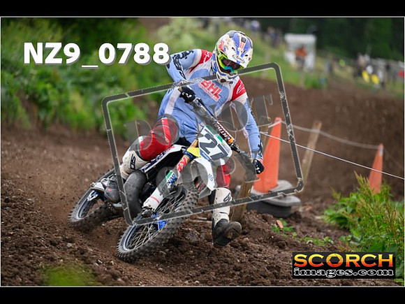 Experts-312