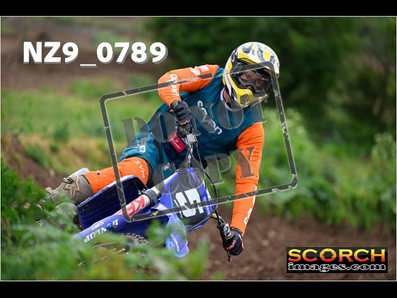 Experts-313