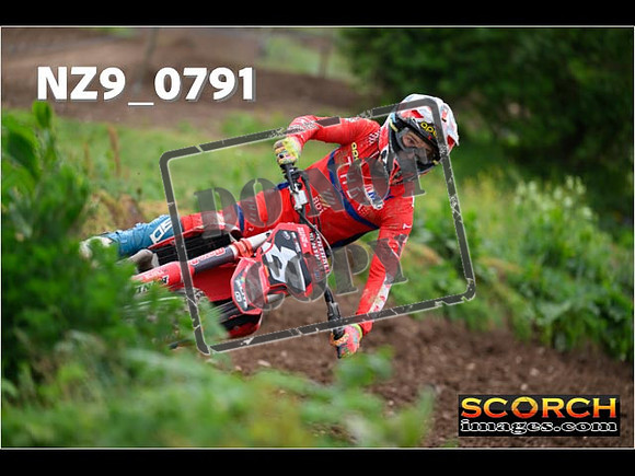 Experts-315
