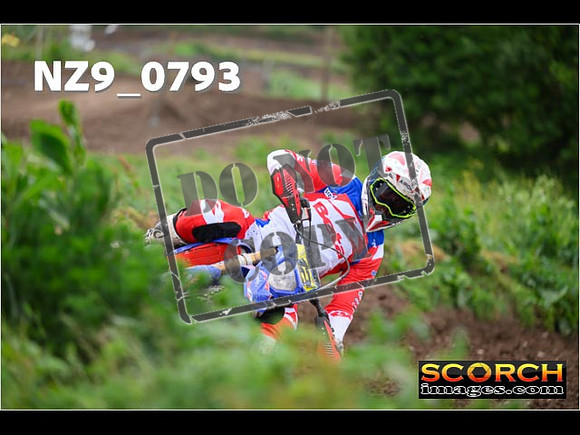 Experts-317