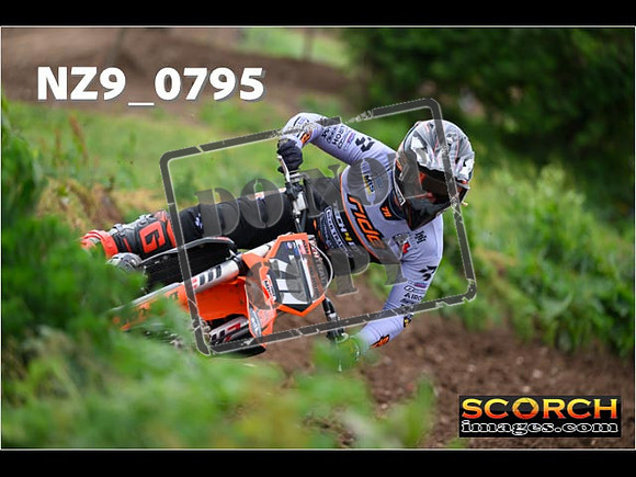 Experts-318