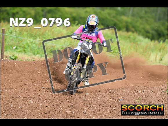 Experts-319