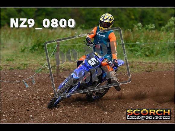 Experts-323