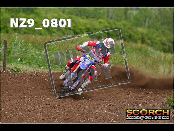 Experts-324