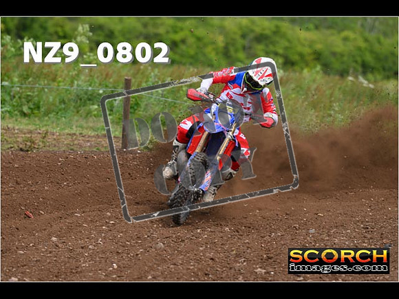 Experts-325