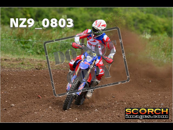 Experts-326