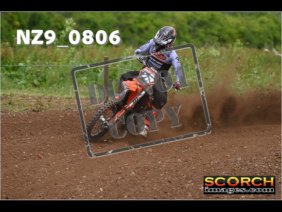 Experts-329