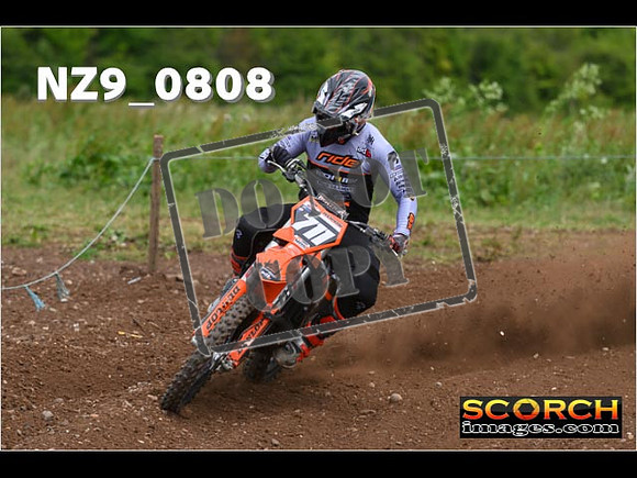 Experts-331