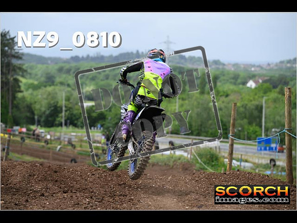 Experts-332
