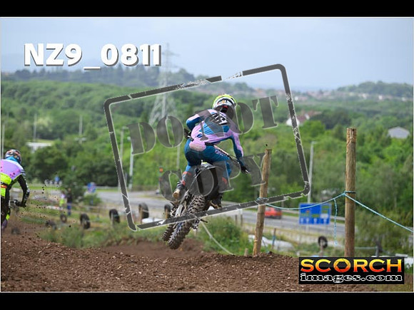 Experts-333