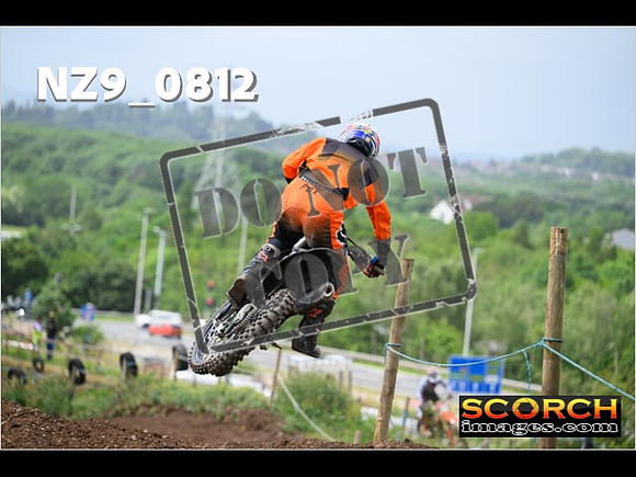 Experts-334