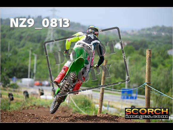 Experts-335