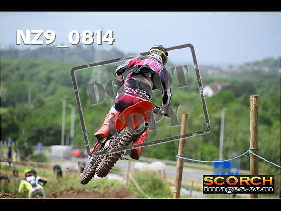 Experts-336