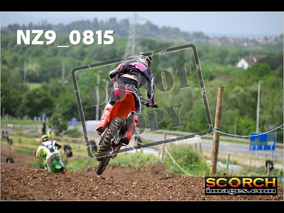Experts-337