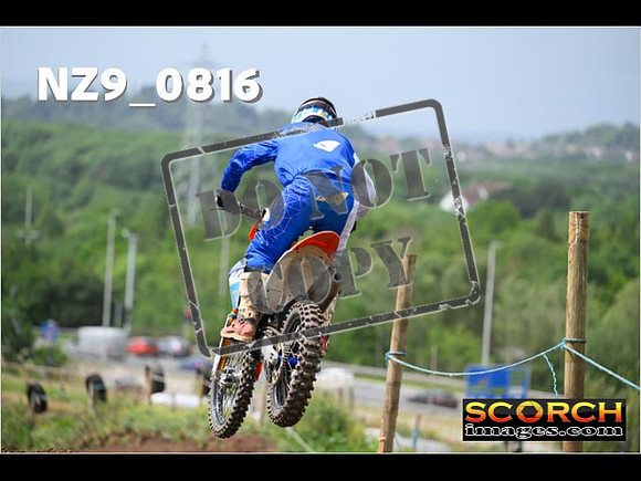 Experts-338