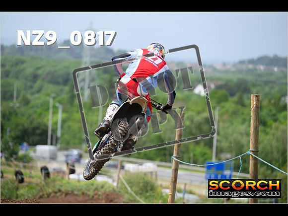 Experts-339