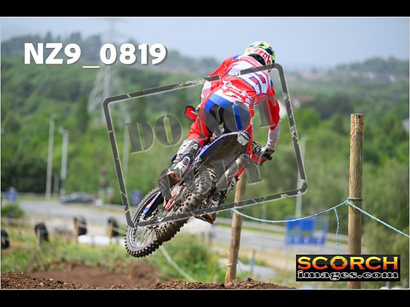 Experts-341
