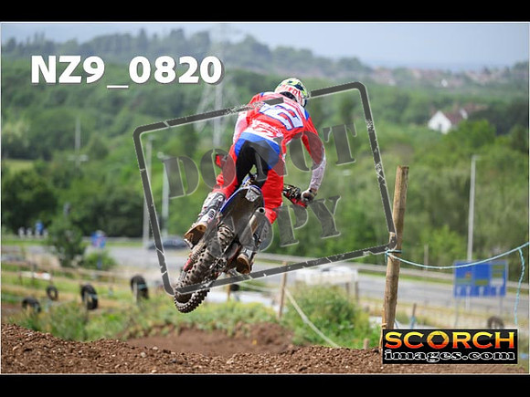 Experts-342