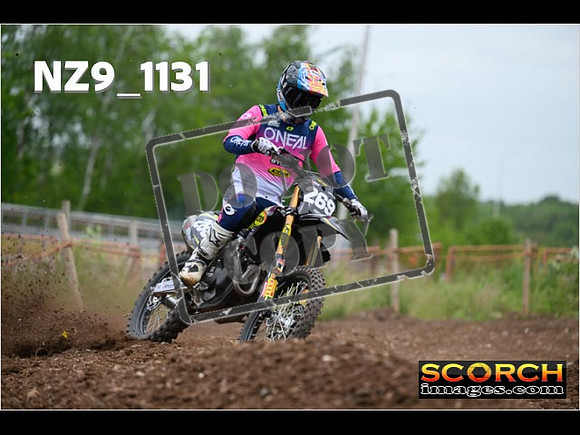 Experts-347