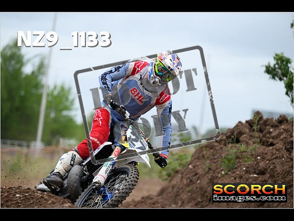 Experts-349
