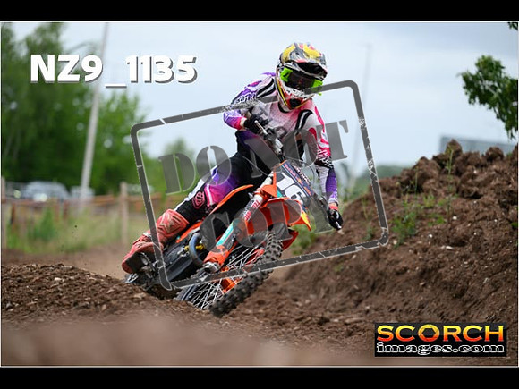 Experts-351