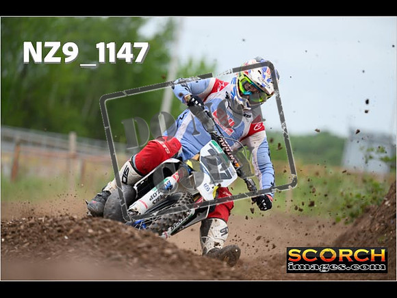 Experts-363
