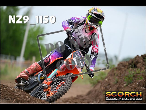 Experts-366