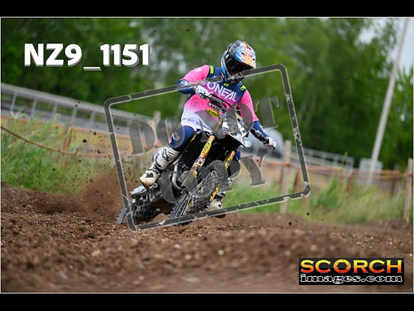Experts-367