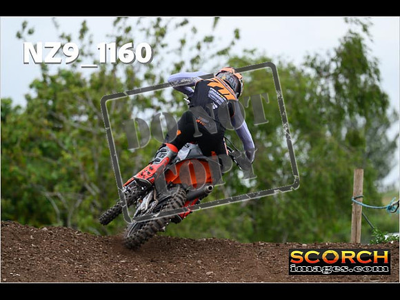 Experts-375