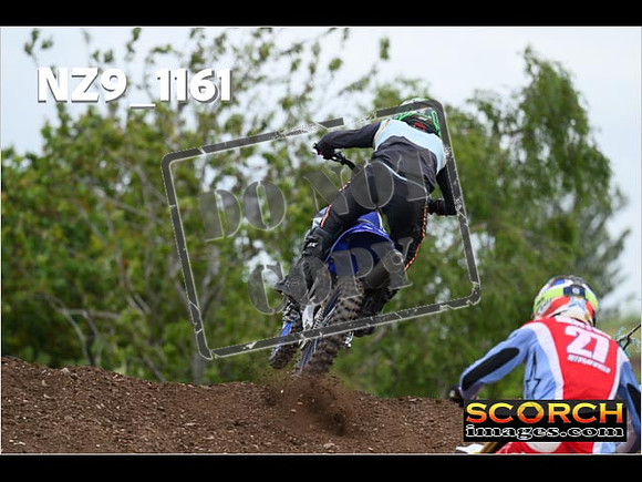Experts-376