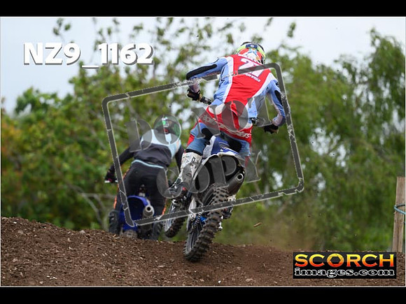 Experts-377