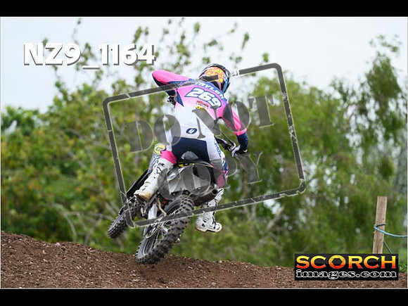 Experts-379