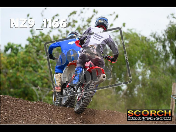 Experts-381