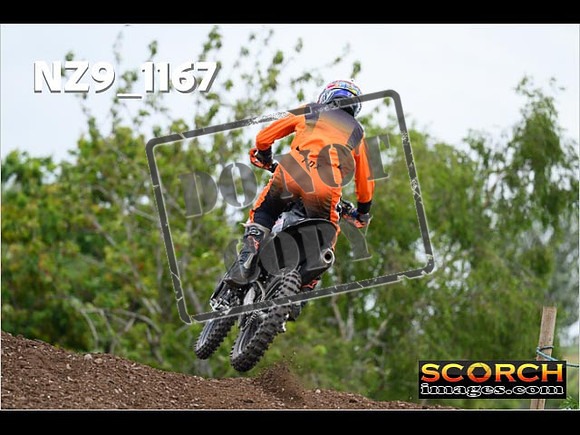 Experts-382