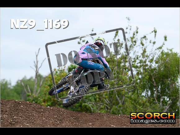 Experts-384