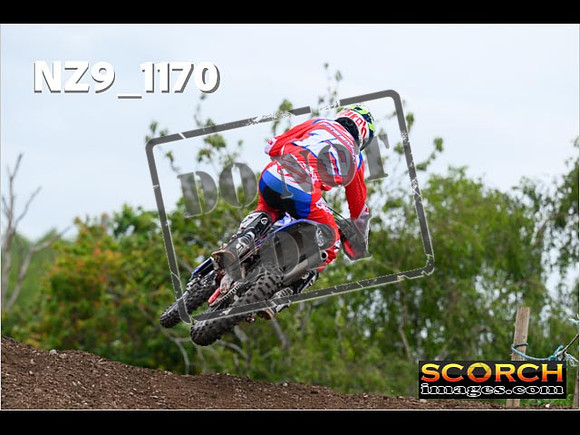 Experts-385