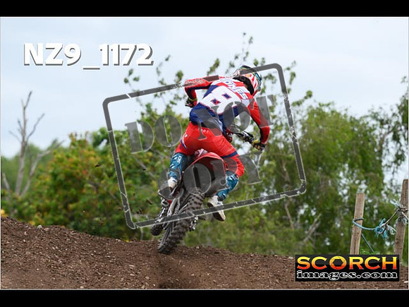 Experts-387