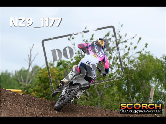 Experts-392