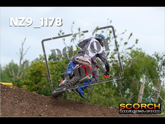 Experts-393