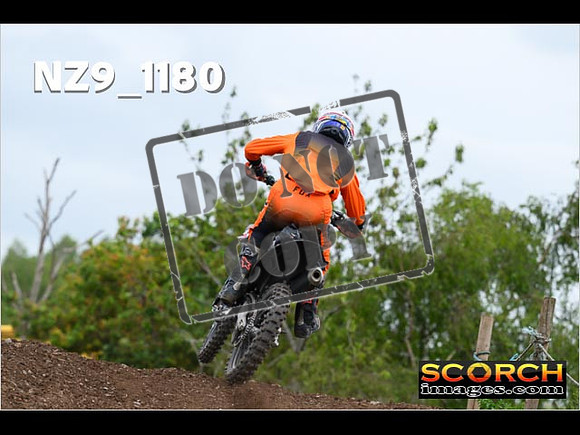 Experts-395