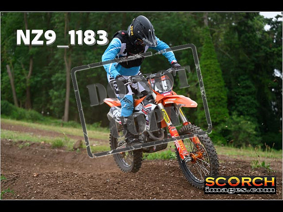 Experts-398