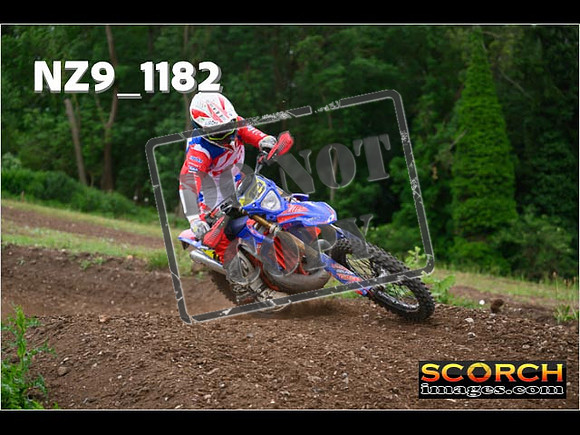 Experts-397