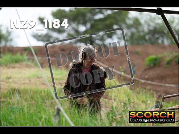 Experts-399