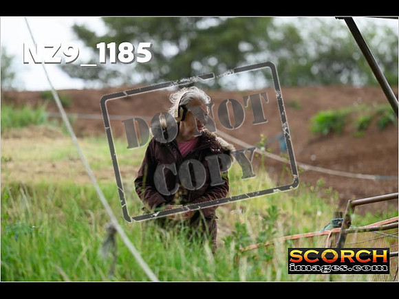 Experts-400