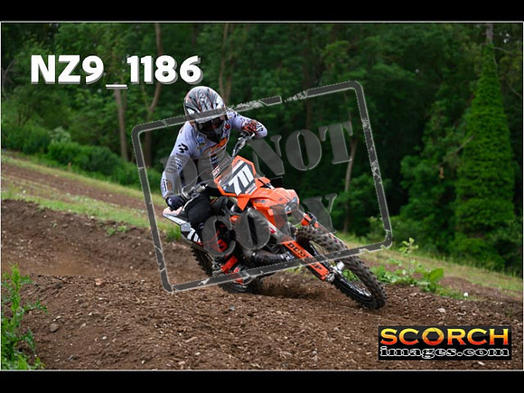 Experts-401