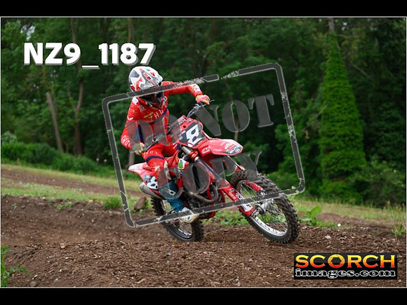Experts-402