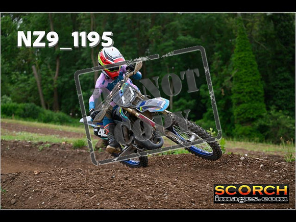 Experts-410